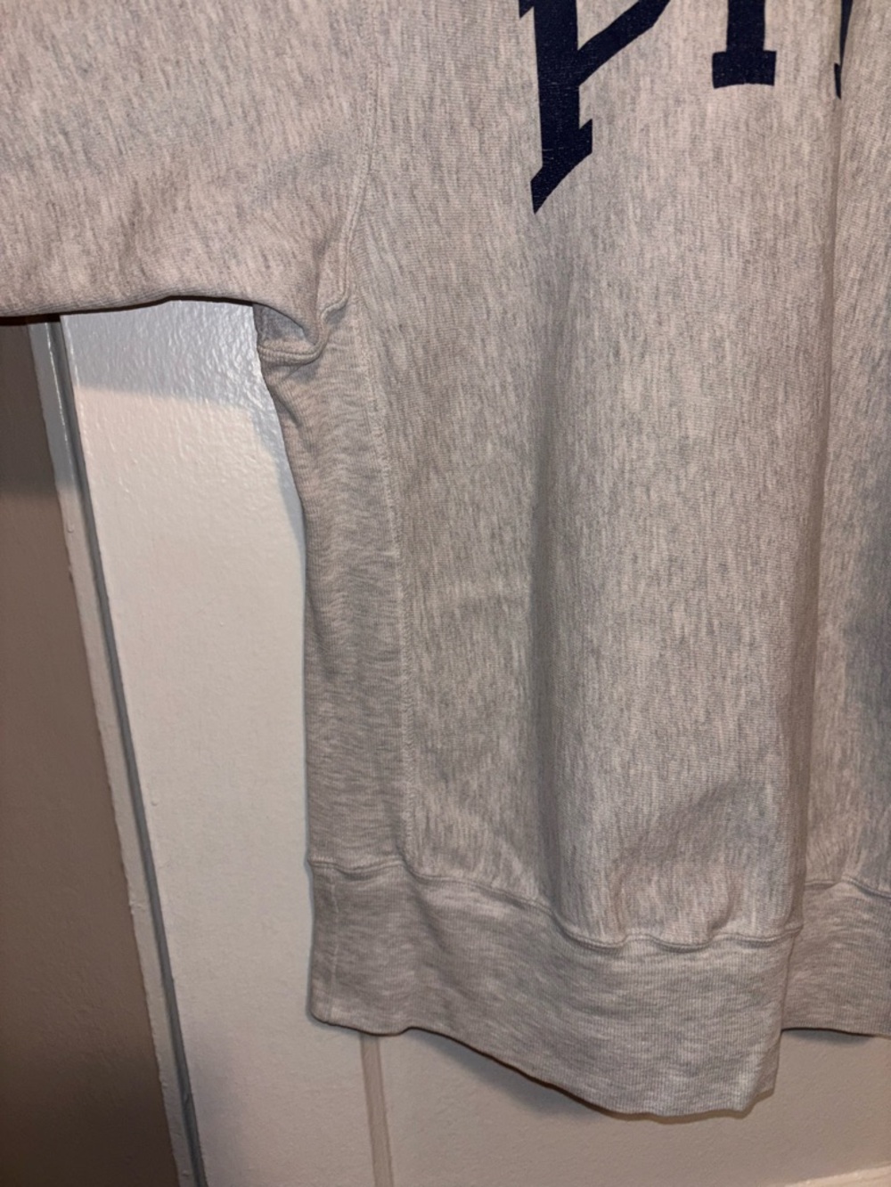 VINTAGE 90s Pitt Panthers Sweatshirt Mens XL Champion Reverse Weave University - Picture 6 of 7